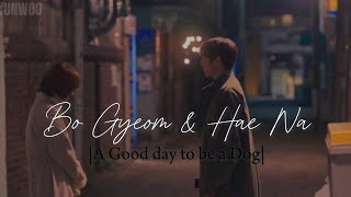 𝑨 𝑻𝒉𝒐𝒖𝒔𝒂𝒏𝒅 𝒀𝒆𝒂𝒓𝒔 Bo Gyeom X Hae Na A Good day to be a Dog FMV [upl. by Pietje]