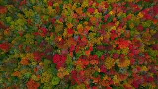 The Colors of Vermonts Foliage Season 2017 [upl. by Beisel]