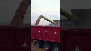 agro farming farm claas fendt vaibvideo farmer ukraine 🇺🇦 [upl. by Sadnak]