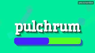 PULCHRUM  HOW TO PRONOUNCE IT [upl. by Brader]