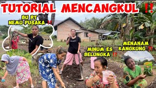 ROYONGAN DI KEBUN TOGA DASAWISMAPart 8 ‼️ [upl. by Nettle]