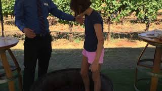 Catherine stomping grapes at Grgich Hills in Napa Valley [upl. by Sula]