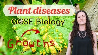 Plant diseases  GCSE Biology Revision for 2020 [upl. by Entsirhc]