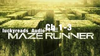 The Maze Runner audiobook Ch 13 Lucky Reads Audio [upl. by Cyrilla]