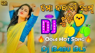 Mo Jabani Amba Jhudi Odia Song Dj  Odia Dj Song  Dj Babu Bls [upl. by Schulze]