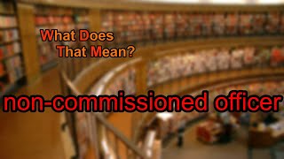 What does noncommissioned officer mean [upl. by Eardnoed339]