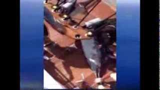 160 kg Schwertfisch springt ins Fischerboot  Swordfish jumps in boat and land on the crew [upl. by Ylekalb]