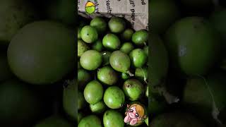 Envio de Quenepas Mamoncillo desde Puerto Rico hacia Florida [upl. by Adria24]