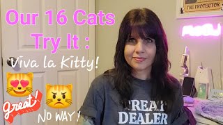 Our 16 Cats Try it Viva La Kitty Squeezable Treats [upl. by Sachi409]