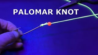 Reel in Success with the Palomar Fishing Knot Guide and Tips [upl. by Ueik899]