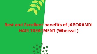 Best and Excellent benefits of JABORANDI HAIR TREATMENT Wheezal [upl. by Uke]