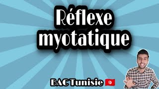 Réflexe myotatique 05 BAC Tunisie  Transmission synaptique et plaque motrice [upl. by Eornom956]