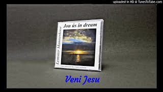 Lemster Mannenkoor quotVeni Jesuquot [upl. by Wystand]