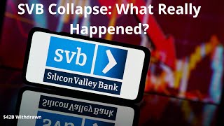 Silicon Valley Bank Collapses What Really Happened [upl. by Oirrad310]