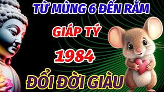 BẤT NGỜ CO TIN VUI TỪ MAI ĐẾN 15 RẰM THÁNG 10 ÂM LỊCH TUỔI GIÁP TÝ SINH 1984 TRÚNG SỐ ĐỔI ĐỜI GIÀU [upl. by Ycnan]