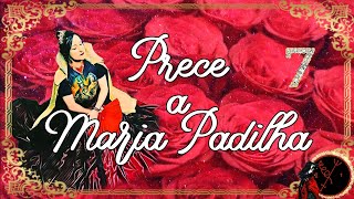 PRECE A MARIA PADILHA [upl. by Medardas375]