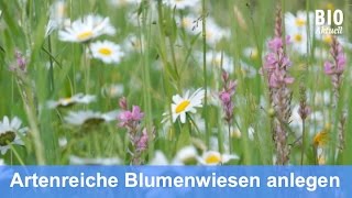 Anlegen einer Blumenwiese Dez 2015 [upl. by Clarie]