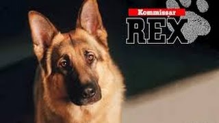 Kommissar Rex S05E05 [upl. by Milurd]