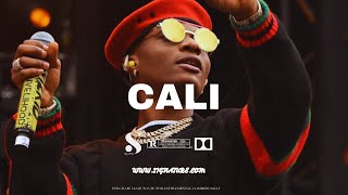 Wizkid Ft Burna Boy x Afro Typebeat  Afrobeat instrumental 2024 quotCALIquot [upl. by Chessy429]