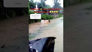 Hurricane Beryl  Jamaicans🇯🇲 Having Fun In The Hurricane 😂😅😂 comedyberylhurricane jamaica [upl. by Ahseital]