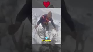 Soldier Rescue Life of Frozen Deer 😱 [upl. by Harberd469]