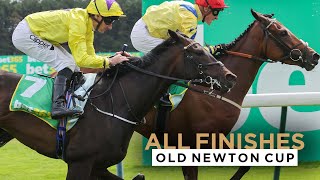 ALL RACE FINISHES FROM OLD NEWTON CUP DAY AT HAYDOCK PARK RACECOURSE [upl. by Dionysus367]