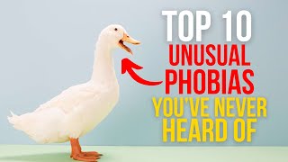 TOP 10 UNUSUAL PHOBIAS YOUVE NEVER HEARD OF [upl. by Teresa]