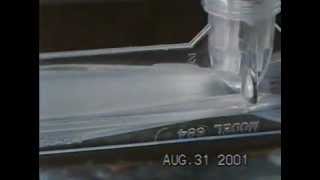 How a Mazzei® Venturi Injector Works [upl. by Terese]