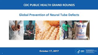 Global Prevention of Neural Tube Defects [upl. by Ynnad]