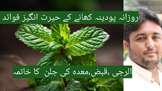 Health Benefits Of Mint leaves  Boost Digestion Naturally  Podina ke Fawaid [upl. by Richards]