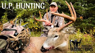 MICHIGAN BRUISER BUCKS with Dieter Kochan [upl. by Zedecrem]