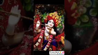 ভোরের নগর কীর্তন vorer Nagaur kirtan 💞🙏Hare Krishna Hare Ramaharekrishna trending [upl. by Ivey]