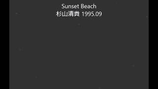 杉山清貴 ライブ『Sunset Beach』199509 [upl. by Gill]