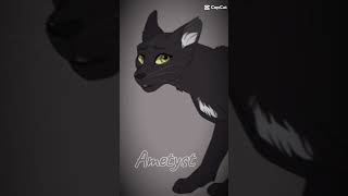 Szablonik Krucza Łapa  Raven Paw template 🐦‍⬛ warriorcats wojownicy cat [upl. by Gahan365]