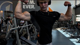 GET MASSIVE ARMS WITH ONLY 4 EXERCISES quick and intense arm day [upl. by Amat]