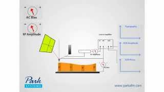 How AFM Works 43 Scanning Capacitance Microscopy SCM [upl. by Bazar508]