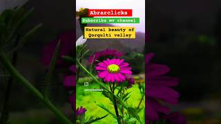 Subscribe my channel arabic mountains ABRARCLICKS abrarclicks [upl. by Hniht]