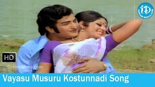 Yamagola Movie Songs  Vayasu Musuru Kostunnadi Song  NTR  Jayapradha [upl. by Halfdan896]