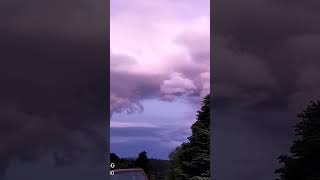 Timelapse Tasmania Strathblane 23112024 nature australianature timelapse discovertasmania [upl. by Saied]