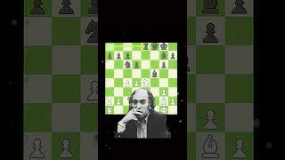 Mikhail Tal Magic ✨ chess magnus edit mastermind chessgrandmaster chessgame [upl. by Donelu744]