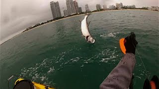 Florida Kayak Fishing Handlining Tarpon [upl. by Anemij]