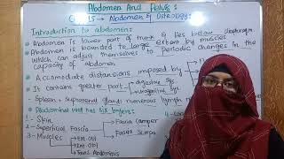 Introduction to abdomen and osteology  abdomen and pelvis  abdominal wall layers  chp 15 bdc [upl. by Arimaj37]