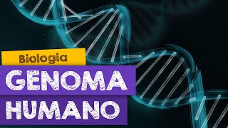 Resultados do projeto Genoma Humano [upl. by Dela498]