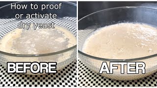 BASIC FOR BEGINNERS HOW TO ACTIVATE YEAST  RIGHT WAY TO ACTIVATE THE DRY YEAST [upl. by Marr215]