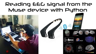 Reading EEG brain signal from the Muse Device with Python programming coding technology bci [upl. by Assilac]