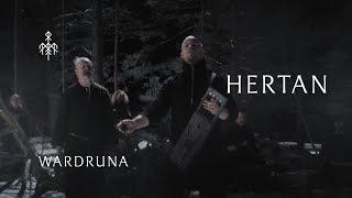 Wardruna  Hertan Heart Official Music Video [upl. by Nessy]