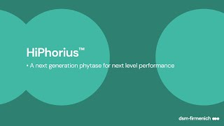 HiPhorius™ Next generation phytase for next level performance [upl. by Kennie]