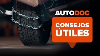 Cómo instalar cadenas para la nieve  AUTODOC [upl. by Pollak]