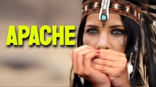 APACHE HARMONICA  C DIATONIC  ARMÓNICA C TABS BLUES HARP C GAITA DE BOCA C MUNDHARMONIKA C [upl. by Damarra657]