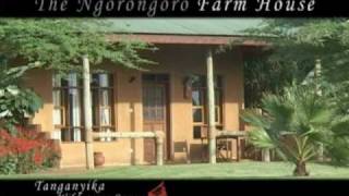 Safari in Africa  Tanzanias Ngorongoro Conservation Area Ngorongoro Farm House [upl. by Ellenid]